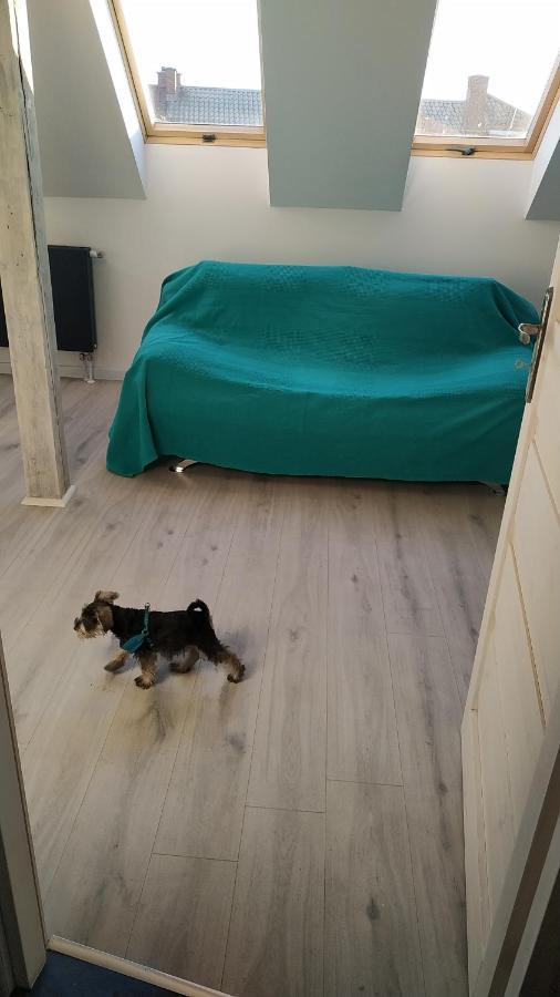 Apartament Witkacego Zielony Słupsk Buitenkant foto