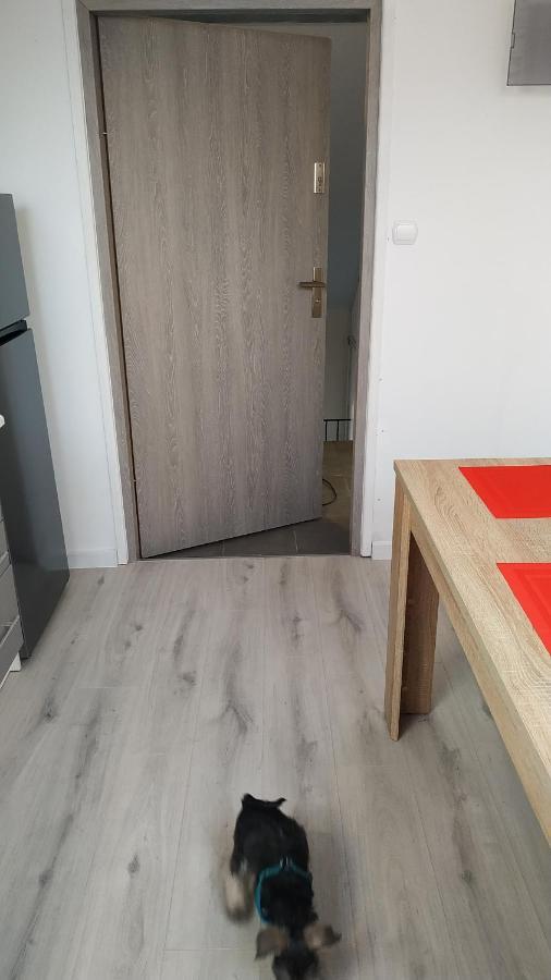 Apartament Witkacego Zielony Słupsk Buitenkant foto