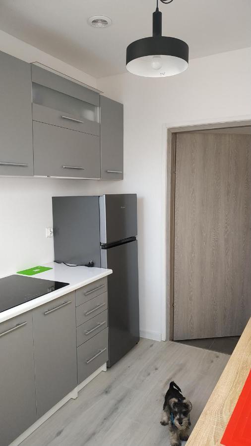 Apartament Witkacego Zielony Słupsk Buitenkant foto